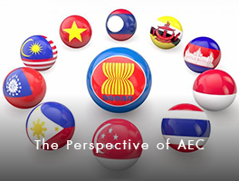 The Perspective of AEC